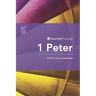 Journey Through 1 Peter: 30 Biblical Insights by David Burge