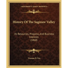 History Of The Saginaw Valley: Its Resources, Progress, And Business Interests (1868)