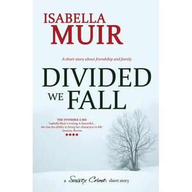 Divided We Fall: A short story about friendship and family