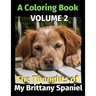 The Thoughts of My Brittany Spaniel: A Coloring Book Volume 2