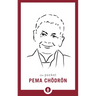 The Pocket Pema Chodron