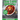 Low Carb Dump Meals ***Large Print Edition***: Healthy One Pot Meal Recipes