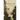 Characters of Age