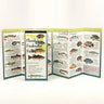 Florida Freshwater Fishes