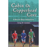 Cabin On Copperhead Cove: A Bon Air Boys Adventure