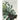 Pastoral