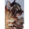Bobbins Story: The little cat that touched so many lives
