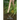 Possible Crocodiles