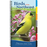 Birds of the Northeast: Your Way to Easily Identify Backyard Birds
