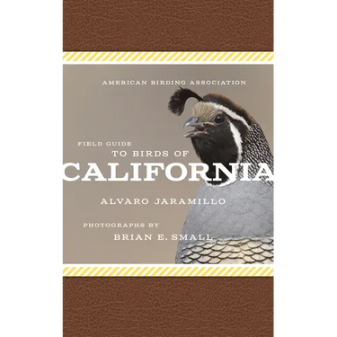 American Birding Association Field Guide to Birds of California