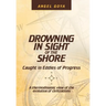 Drowning in Sight of the Shore: Caught in Eddies of Progress