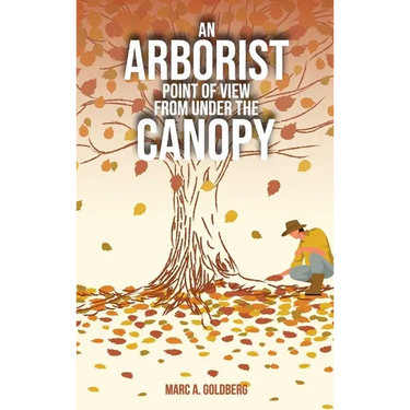 An Arborist Point Of View From Under The Canopy