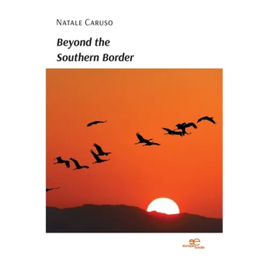 Beyond the Southern Border