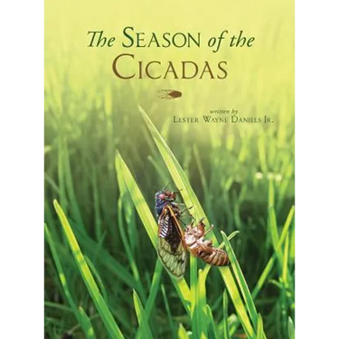 The Season of the Cicadas