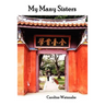 My Many Sisters, the Journal of a Volunteer with the Daughters of Charity
