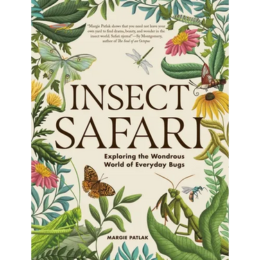 Insect Safari: Exploring the Wondrous World of Everyday Bugs