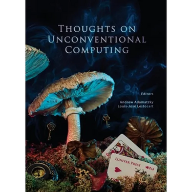 Thoughts on unconventional computing