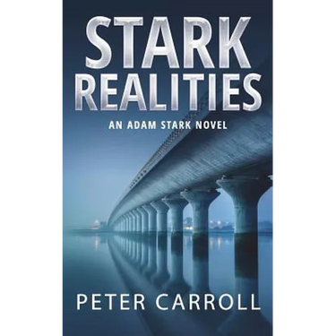 Stark Realities: An Adam Stark Novel