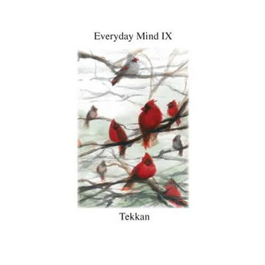 Everyday Mind IX
