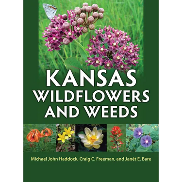 Kansas Wildflowers and Weeds