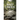 Bad Creek
