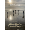 A Light Chop in Protected Waters