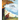 The Voice of the Forest