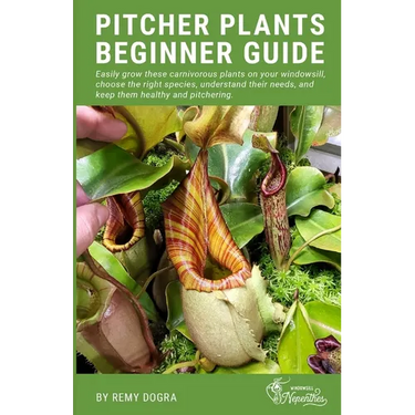 Pitcher Plants Beginner Guide: Easily grow these carnivorous plants on your windowsill, choose the right species, understand their needs, and keep th