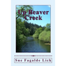 Up Beaver Creek