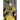 The Last Empress: the She-Dragon of China