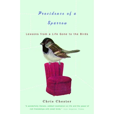 Providence of a Sparrow: Lessons from a Life Gone to the Birds