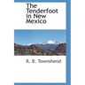 The Tenderfoot in New Mexico