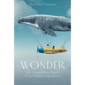Wonder: The Extraordinary Power of an Ordinary Experience