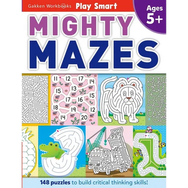 Play Smart Mighty Mazes