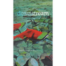 Downstream: Reimagining Water