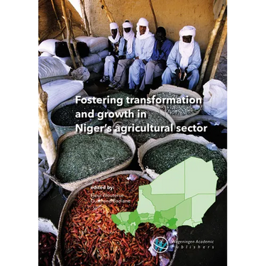 Fostering Transformation and Growth in Niger's Agricultural Sector