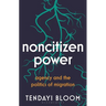 Noncitizen Power: Agency and the Politics of Migration