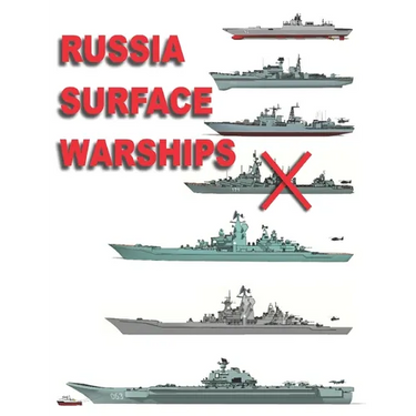Russia Surface Warships: 2019 - 2020