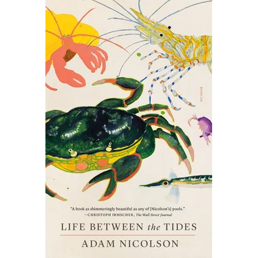 Life Between the Tides