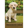 A Spiritual Growth Plan for Your Phlegmatic Child