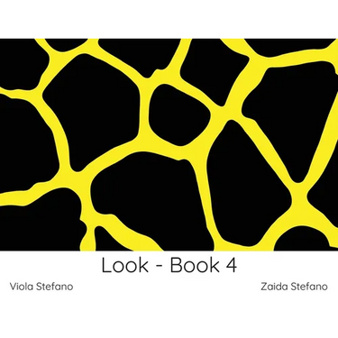 Look - Book 4: VI