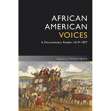 African American Voices 4e
