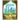 Journey to the City of Dreams