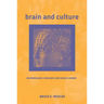 Brain and Culture: Neurobiology, Ideology, and Social Change