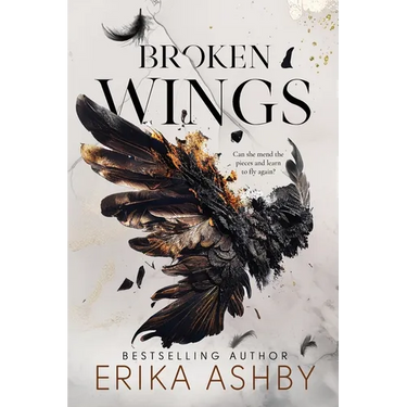 Broken Wings: A Military Romance