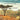 The Great Rift Valley Lakes: The Wildlife of Ethiopia In Amharic and English