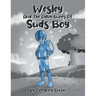 Wesley And The Adventures Of Suds Boy