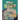 What Do You See?