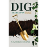 Dig: Develop In Grace