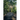 Hidden Valley Road